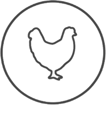Chicken Icon