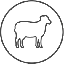 Lamb/Mutton Icon